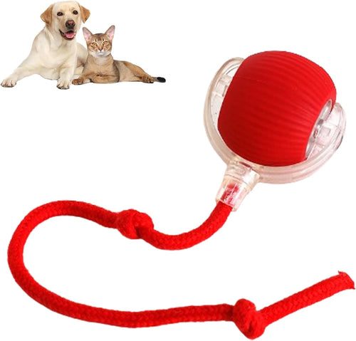 ✨ODALIT™ smart chase pet toy ball